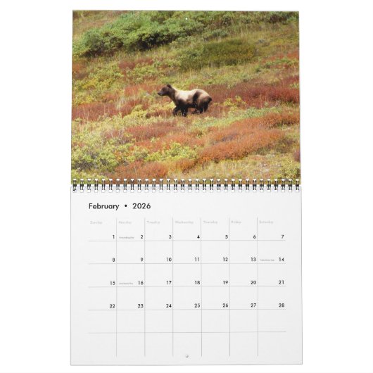 Alaska Wilderness Calendar Kalender (Feb 2026)