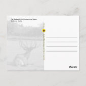 Alaska Wildlife Conservation Center -  Briefkaart (Achterkant)