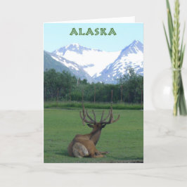 Alaska Wildlife Conservation Centre - kaart