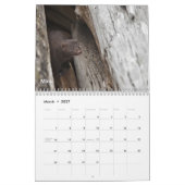 Alaska Wildlife Kalender (Mar 2027)