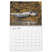 Alaska Wildlife Kalender (Jan 2027)