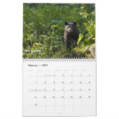 Alaska Wildlife Kalender (Feb 2027)