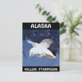 Alaska Willow Ptarmigan Briefkaart (Staand voorkant)