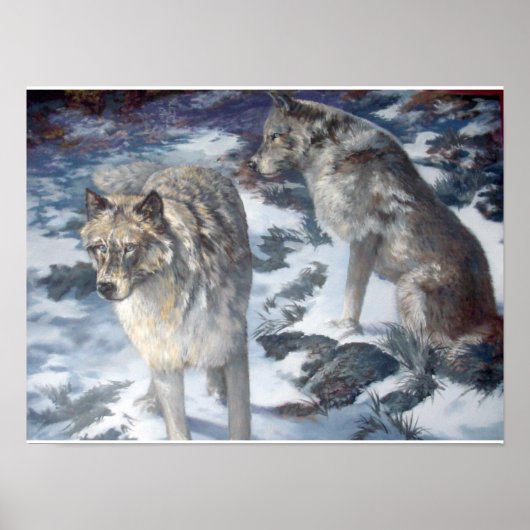 Alaska Wolf Paar tijdens winter poster (Voorkant)