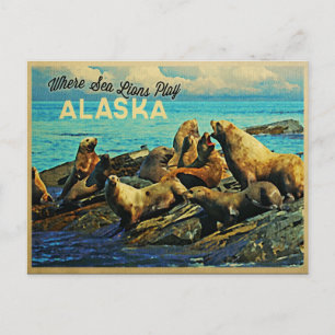 Alaska Zee Lions Briefkaart