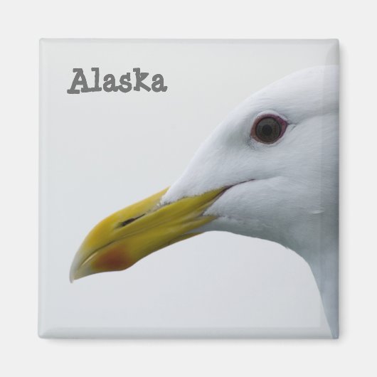 alaska zeemeeuw magneet (Voorkant)