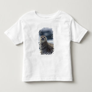 Alaska, zuidoost gebied Harbour-zeehond op ijs Kinder Shirts
