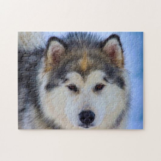 Alaskaanse husky hond. legpuzzel (Horizontaal)