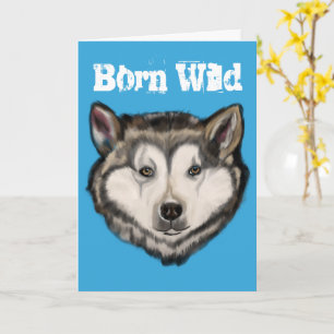 Alaskaanse Malamute Kaart