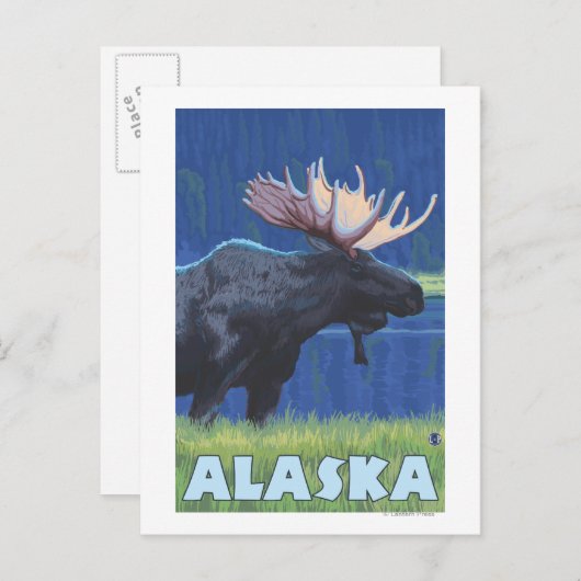 AlaskaMoonlight Moose Briefkaart (Voorkant / Achterkant)