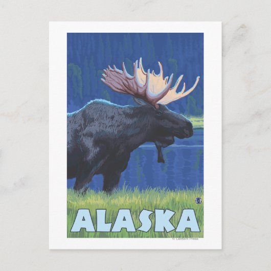 AlaskaMoonlight Moose Briefkaart (Voorkant)