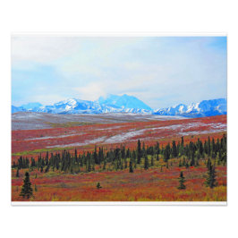 Alaskan Adventure-Denali- Landschap #3 Foto Afdruk