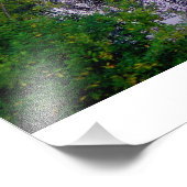 Alaskan Adventure - Landschap #10 Foto Afdruk (Hoek)