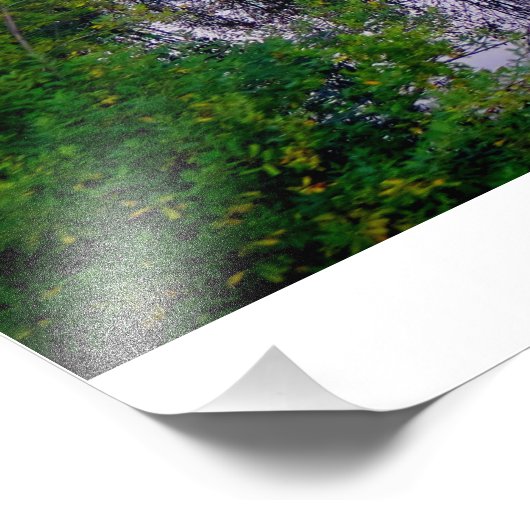 Alaskan Adventure - Landschap #10 Foto Afdruk (Hoek)