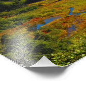 Alaskan Adventure - Landschap #12 Foto Afdruk (Hoek)