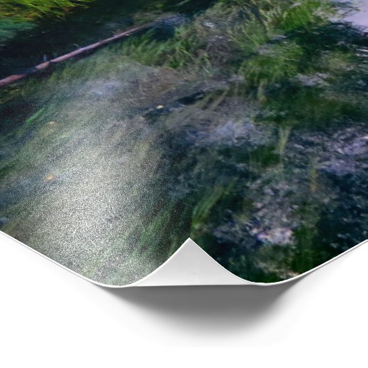 Alaskan Adventure - Landschap #14 Foto Afdruk (Hoek)