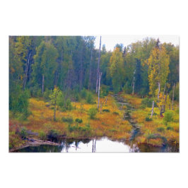 Alaskan Adventure - Landschap #6 Foto Afdruk