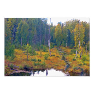 Alaskan Adventure - Landschap #6 Foto Afdruk