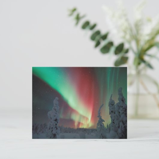 Alaskan Aurora Borealis Briefkaart (Staand voorkant)