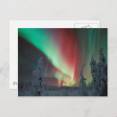Alaskan Aurora Borealis Briefkaart (Voorkant / Achterkant)