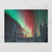 Alaskan Aurora Borealis Briefkaart (Voorkant)