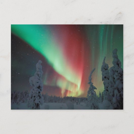 Alaskan Aurora Borealis Briefkaart (Voorkant)