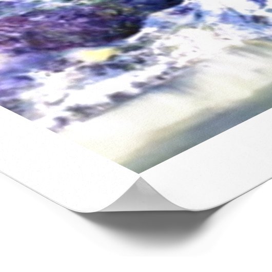 Alaskan Borealis Dance Poster (Hoek)