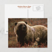 Alaskan Brown Beer Briefkaart (Voorkant / Achterkant)
