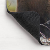 Alaskan Brown Beer in Kenai NWR Muismat (Hoek)