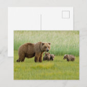 Alaskan Brown Beer met kubussen in een weide Briefkaart (Voorkant / Achterkant)