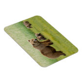 Alaskan Brown Beer met kubussen in een weide Magneet (Rechterzijde)