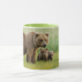 Alaskan Brown Beer met kubussen in een weide Mok (Midden)