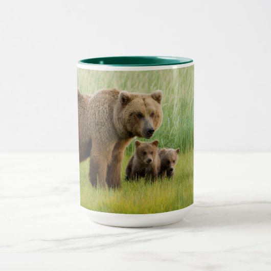 Alaskan Brown Beer met kubussen in een weide Mok (Midden)