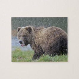 Alaskan Brown Beer (Ursus arctos) Wildlife Foto Legpuzzel