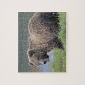 Alaskan Brown Beer (Ursus arctos) Wildlife Foto Legpuzzel (Verticaal)