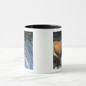 Alaskan Brown Beer vangt zalm in Brooks Mok (Midden)