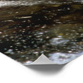 Alaskan Brown Beer vangt zalm in Brooks Poster (Hoek)