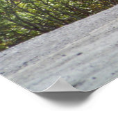 Alaskan Cariou Poster Print (Hoek)