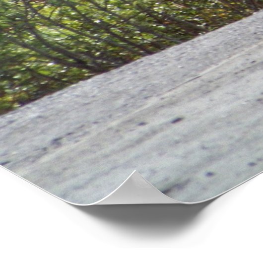 Alaskan Cariou Poster Print (Hoek)