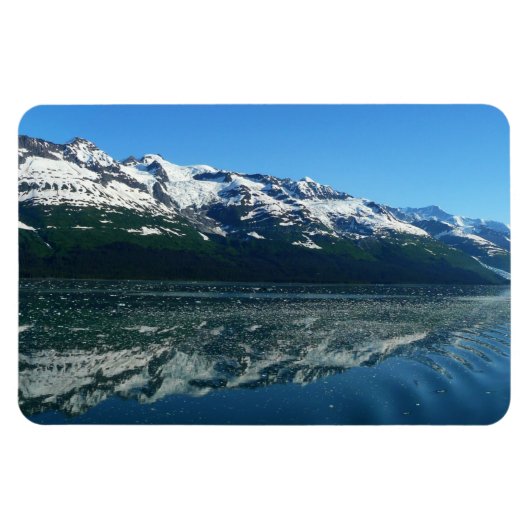 Alaskan Coastline Beauful Natuur Magneet (Horizontaal)