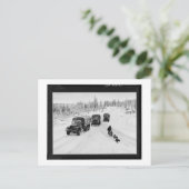 Alaskan Dogsled & Army Trucks Briefkaart (Staand voorkant)