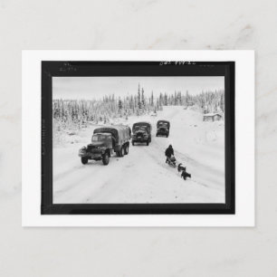 Alaskan Dogsled & Army Trucks Briefkaart