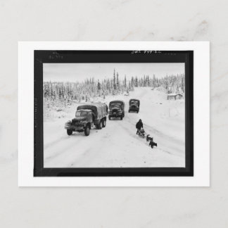 Alaskan Dogsled & Army Trucks Briefkaart