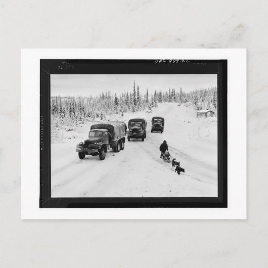 Alaskan Dogsled & Army Trucks Briefkaart (Voorkant)