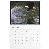 Alaskan Eagles Kalender (Mar 2026)