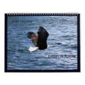 Alaskan Eagles Kalender (Hoes)
