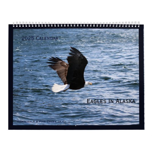 Alaskan Eagles Kalender (Hoes)