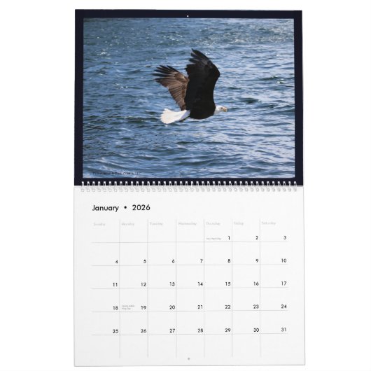 Alaskan Eagles Kalender (Jan 2026)