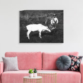 Alaskan Eskimo en gevangengenomen rendier Canvas Afdruk (Insitu (Woonkamer))