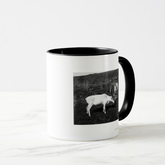 Alaskan Eskimo en gevangengenomen rendier Mok (Voorkant rechts)